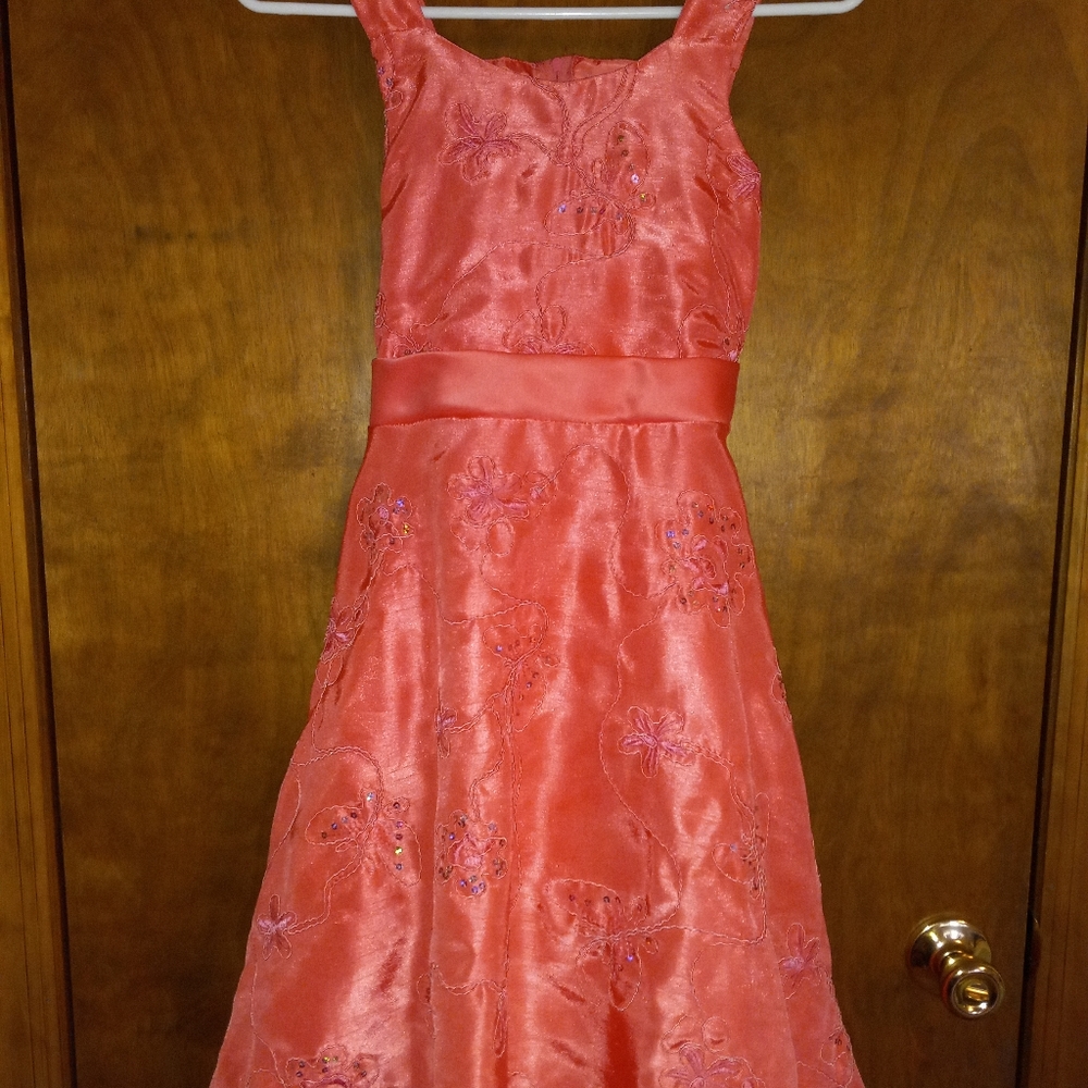 Girls Size 14 Peach Butterfly Dress by Rare Editions